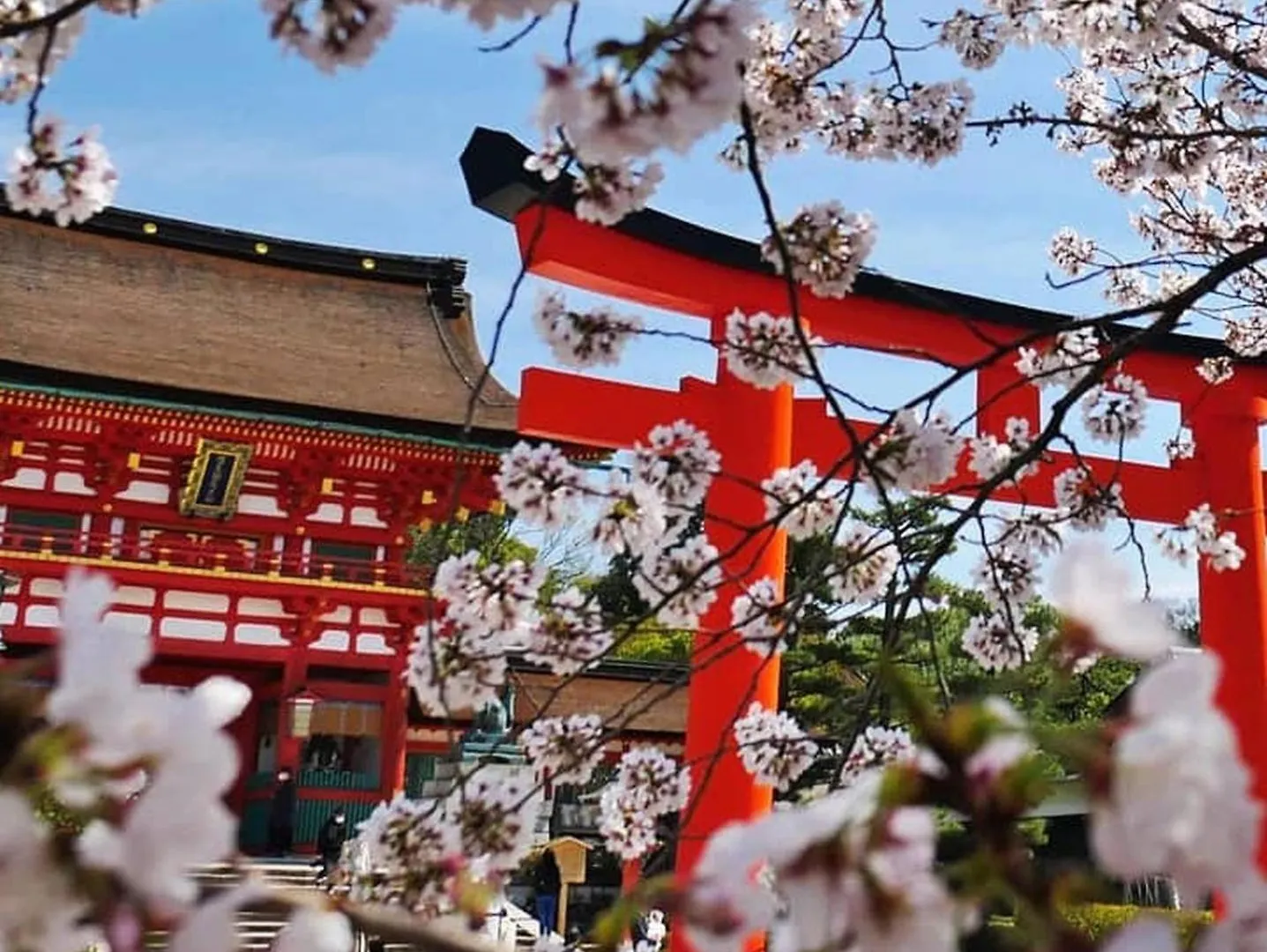 Kyoto Jujo 03アパートメント 日本